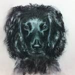 Portrait of cocker-spaniel 